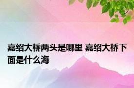 嘉绍大桥两头是哪里 嘉绍大桥下面是什么海 