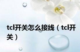 tcl开关怎么接线（tcl开关）