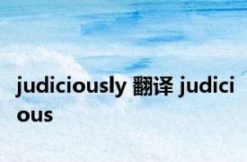 judiciously 翻译 judicious 