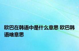 欧巴在韩语中是什么意思 欧巴韩语啥意思 