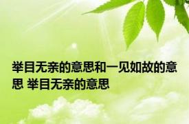 举目无亲的意思和一见如故的意思 举目无亲的意思 