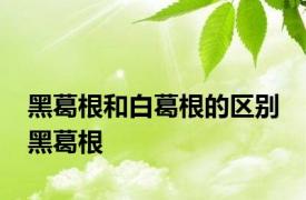 黑葛根和白葛根的区别 黑葛根 