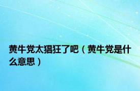 黄牛党太猖狂了吧（黄牛党是什么意思）