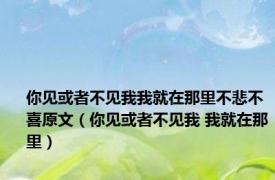 你见或者不见我我就在那里不悲不喜原文（你见或者不见我 我就在那里）