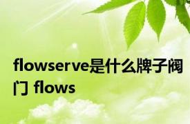 flowserve是什么牌子阀门 flows 