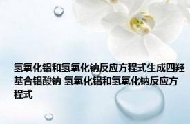 氢氧化铝和氢氧化钠反应方程式生成四羟基合铝酸钠 氢氧化铝和氢氧化钠反应方程式 