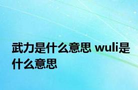 武力是什么意思 wuli是什么意思 