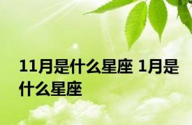 11月是什么星座 1月是什么星座 