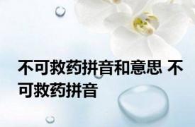 不可救药拼音和意思 不可救药拼音 