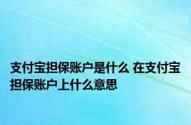 支付宝担保账户是什么 在支付宝担保账户上什么意思