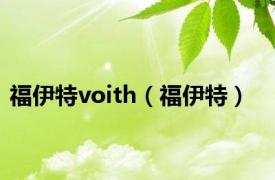 福伊特voith（福伊特）