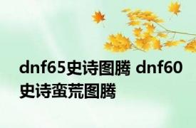 dnf65史诗图腾 dnf60史诗蛮荒图腾 