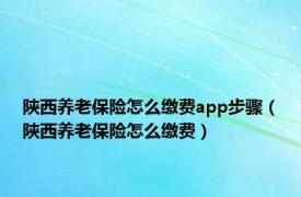 陕西养老保险怎么缴费app步骤（陕西养老保险怎么缴费）