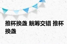 推杯换盏 觥筹交错 推杯换盏 