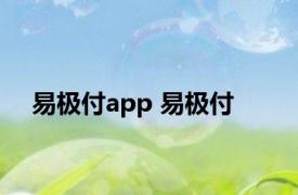 易极付app 易极付 