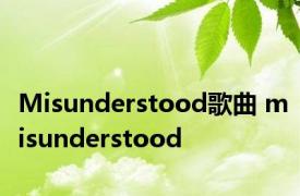 Misunderstood歌曲 misunderstood 