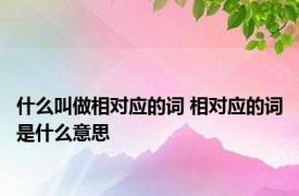 什么叫做相对应的词 相对应的词是什么意思