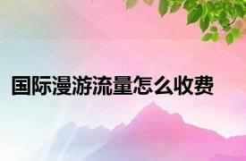 国际漫游流量怎么收费