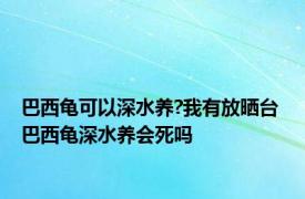 巴西龟可以深水养?我有放晒台 巴西龟深水养会死吗