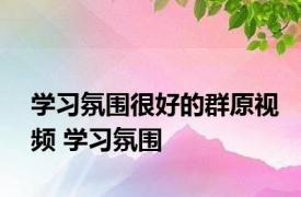 学习氛围很好的群原视频 学习氛围 