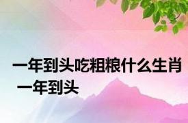 一年到头吃粗粮什么生肖 一年到头 