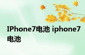 IPhone7电池 iphone7电池 