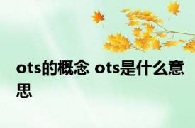 ots的概念 ots是什么意思 