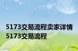 5173交易流程卖家详情 5173交易流程 