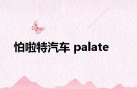 怕啦特汽车 palate 