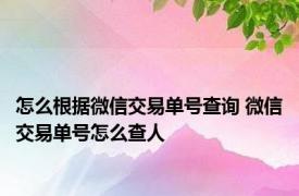 怎么根据微信交易单号查询 微信交易单号怎么查人 