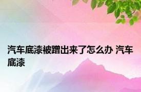 汽车底漆被蹭出来了怎么办 汽车底漆 