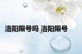 洛阳限号吗 洛阳限号 