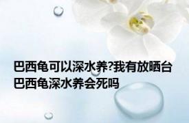 巴西龟可以深水养?我有放晒台 巴西龟深水养会死吗