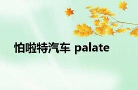 怕啦特汽车 palate 