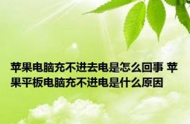 苹果电脑充不进去电是怎么回事 苹果平板电脑充不进电是什么原因 