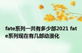 fate系列一共有多少部2021 fate系列现在有几部动漫化