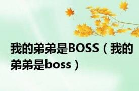 我的弟弟是BOSS（我的弟弟是boss）