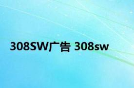 308SW广告 308sw 