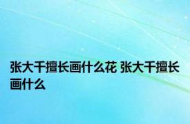 张大千擅长画什么花 张大千擅长画什么