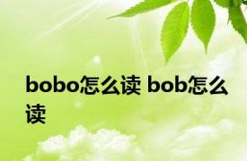 bobo怎么读 bob怎么读 