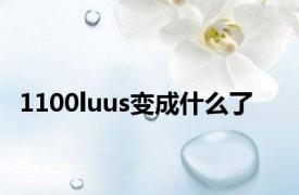 1100luus变成什么了