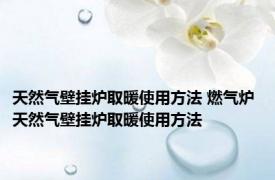 天然气壁挂炉取暖使用方法 燃气炉 天然气壁挂炉取暖使用方法 