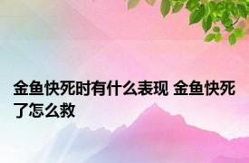 金鱼快死时有什么表现 金鱼快死了怎么救