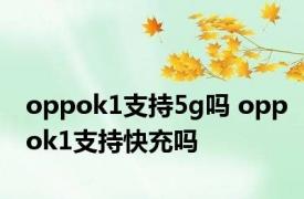 oppok1支持5g吗 oppok1支持快充吗 