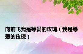 向前飞我是等爱的玫瑰（我是等爱的玫瑰）