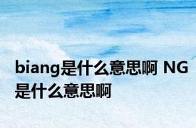 biang是什么意思啊 NG是什么意思啊