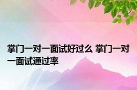 掌门一对一面试好过么 掌门一对一面试通过率 