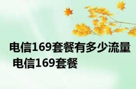 电信169套餐有多少流量 电信169套餐 