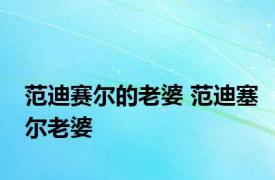 范迪赛尔的老婆 范迪塞尔老婆 