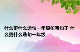 什么更什么造句一年级仿写句子 什么更什么造句一年级 